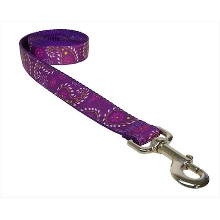 Sassy Dog Wear PRETTY PAISLEY2-L 4 Ft. Pretty Paisley Dog Leash; Purple - Small